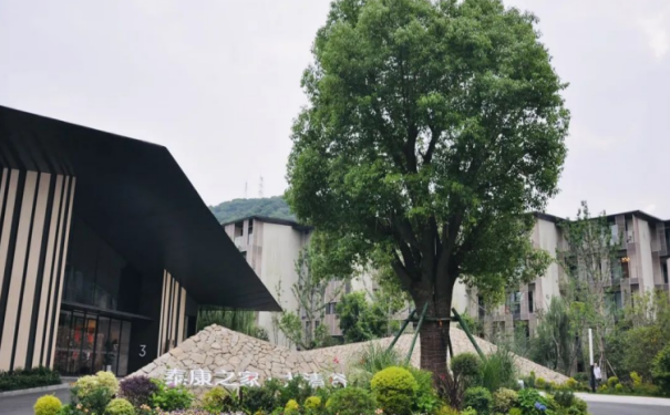 【杭州泰康之家大清谷醫院】醫院簡介_科室介紹_專家團隊_聯系電話