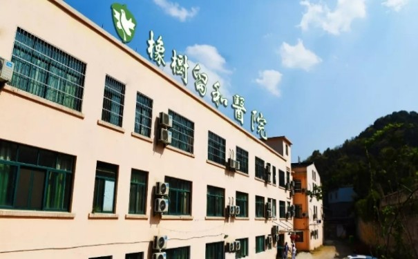 杭州橡樹留和醫院怎么約床位，收費標準怎么樣？